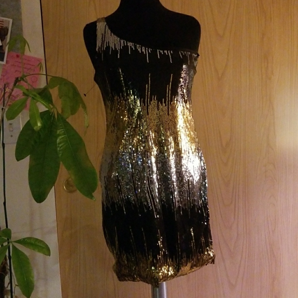 Sequin Dress